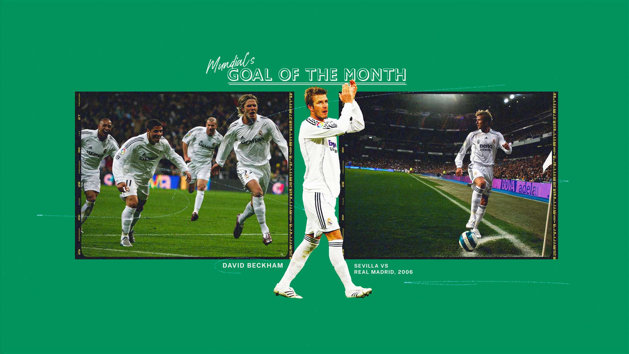 将所有的荣 将所有的荣