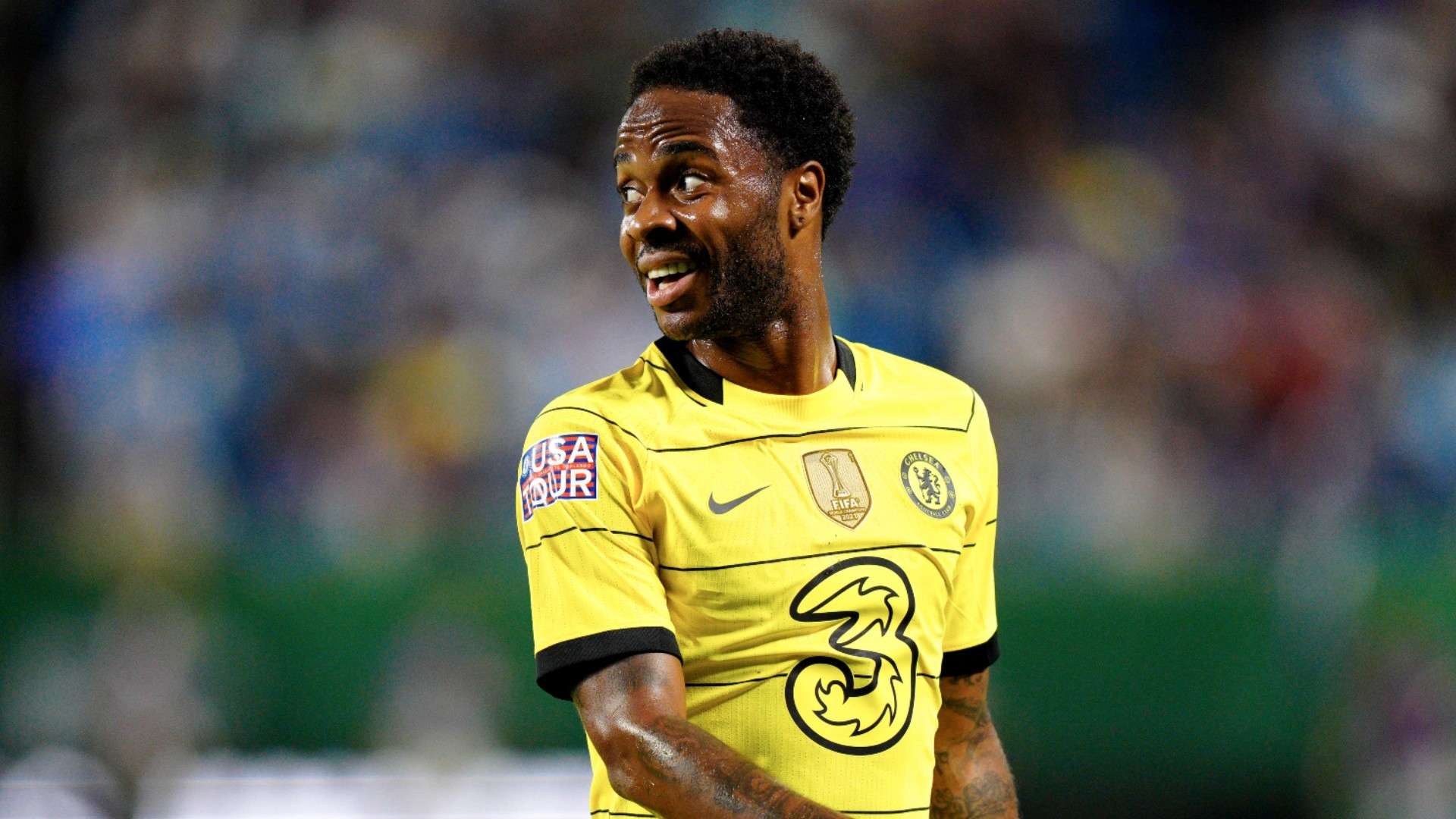 手树立了榜 手树立了榜